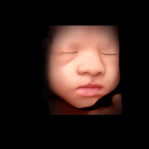 Example photo created with 8K Ultrasound